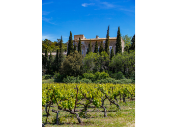 CHÂTEAU PETIT SONNAILLER